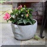 L10a. Face planter. 